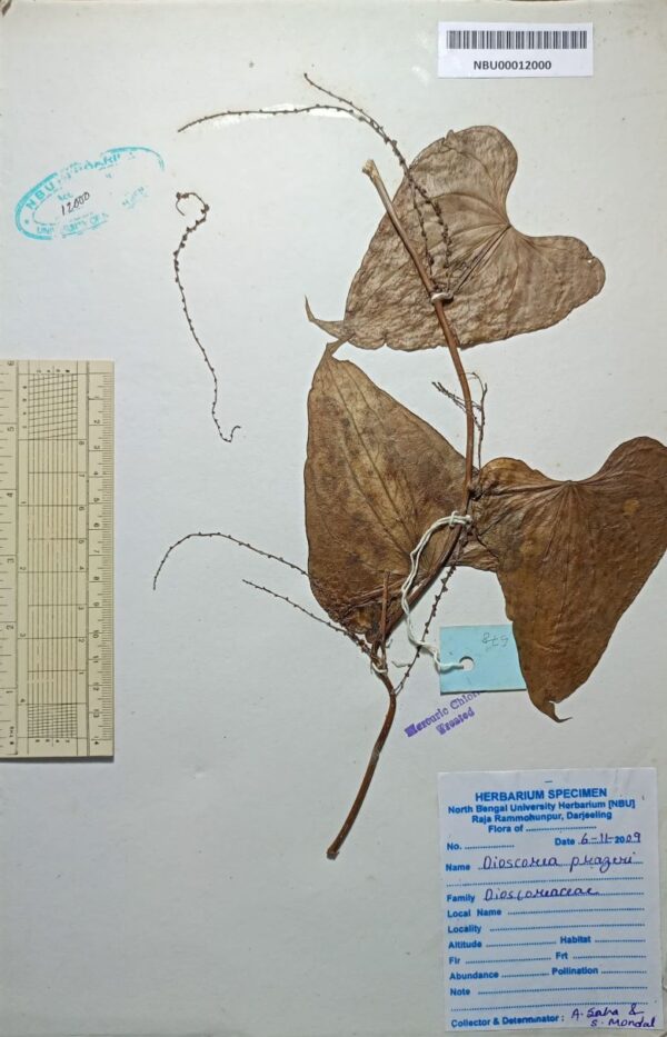 DocScanner 20 Apr 2026 1-36 pm
